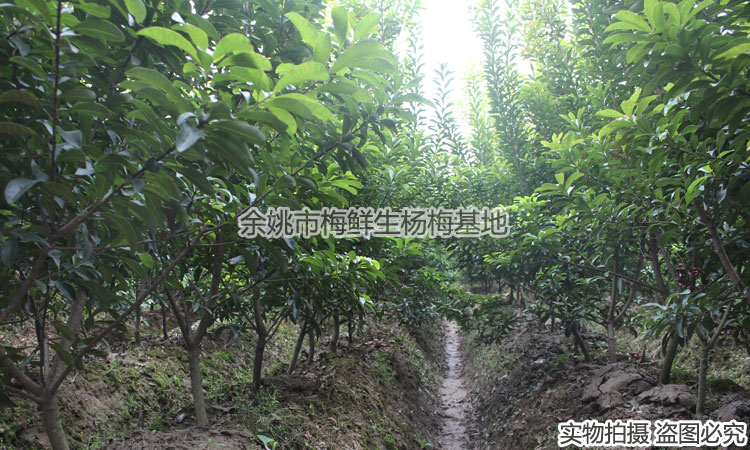 2֗÷硢÷硢޽硢÷䡢÷