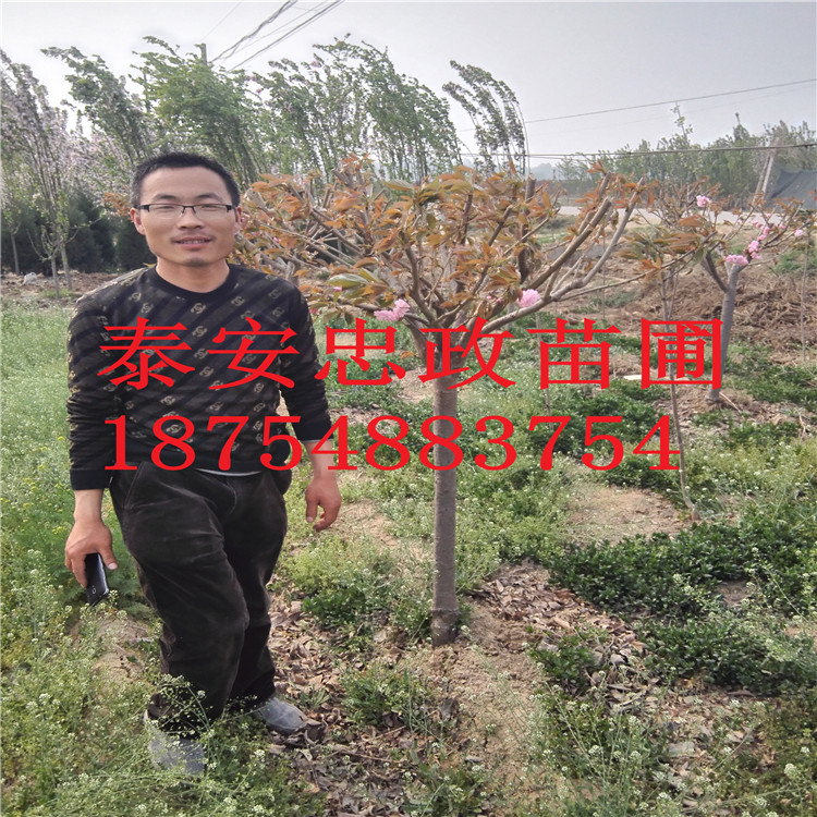 4ָߗUѻߗUѻС4ָߗUѻ