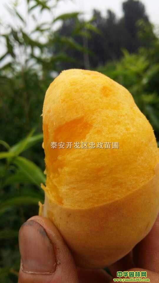 \CSҘ\CSҘҘ