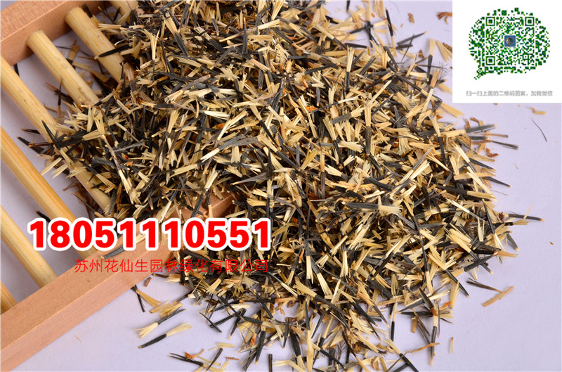 l|ȸݷNӮ²ɷNĈDƬSֱNr