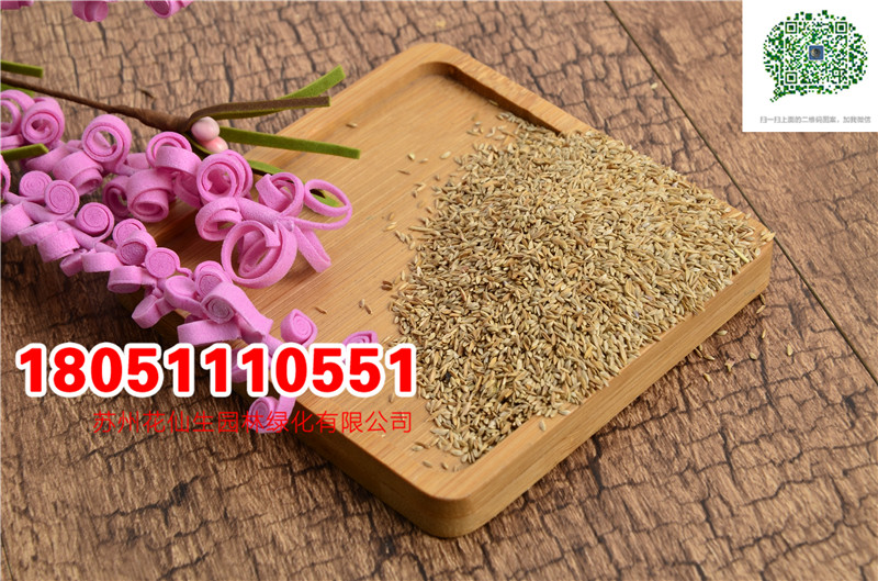 l|ĽNӮ²ɷNĈDƬSֱNr