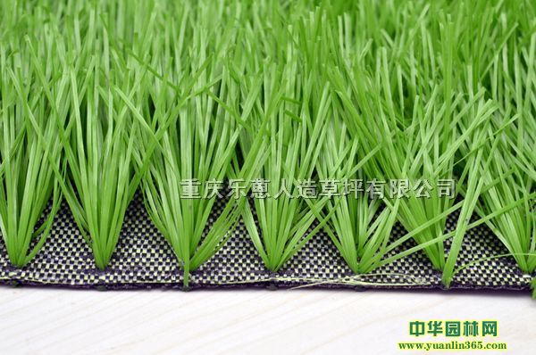 ؑcƺ׃@ƺƺƺ