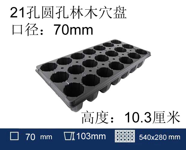 21孔圓孔林木育苗穴盤