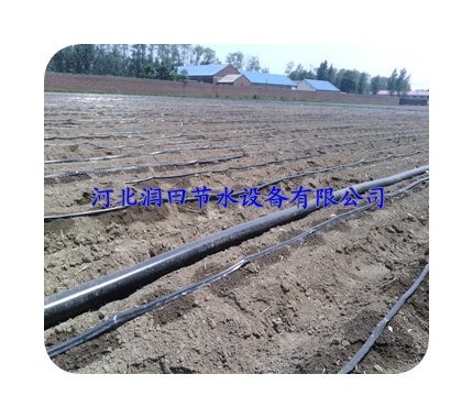 大田滴灌、滴灌帶