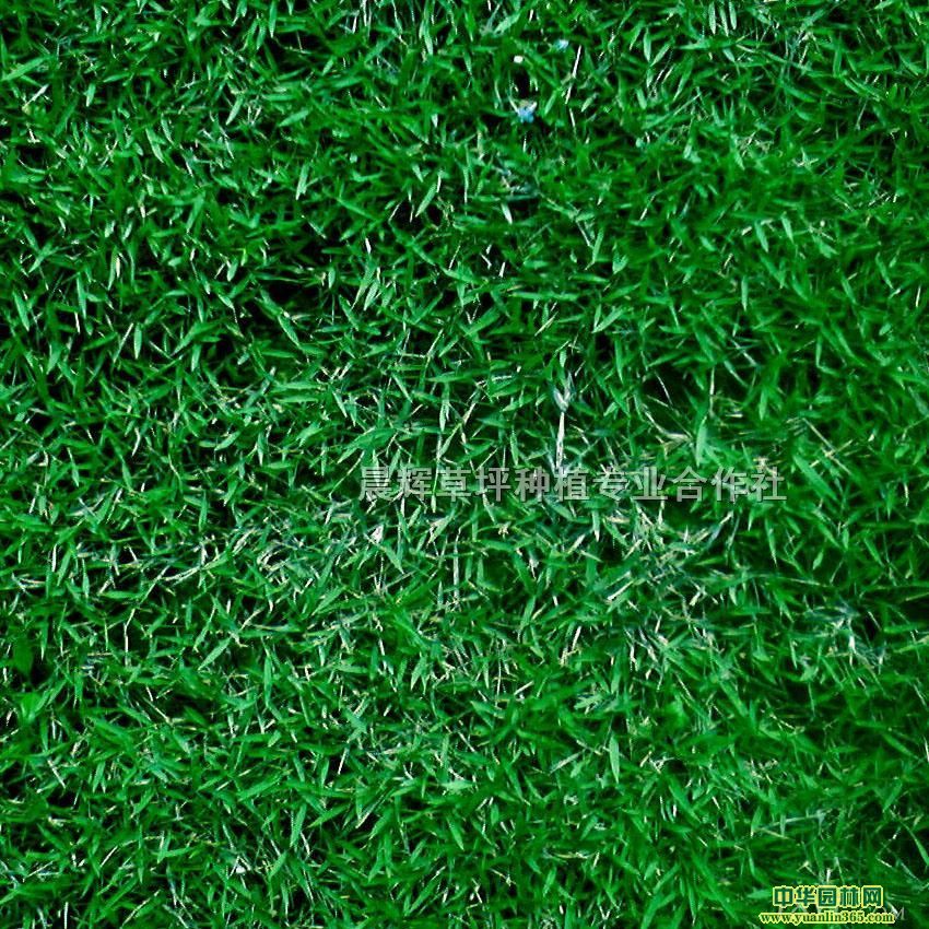 Lڴl(f)XݰĽ_(d)ƺƤ