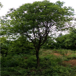 81012֗÷(sh)r(ji)(yu)