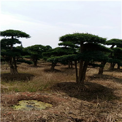 25ܘ(sh)30ܘ(sh)r(ji)