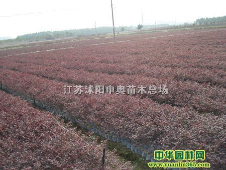 t^ľ  ~lé  S u Ȱ ̰ 