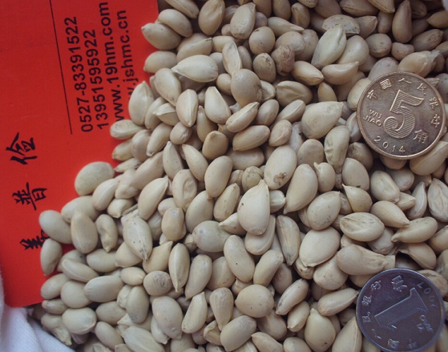 ҰҰLFhկך޽ӹСNӃr