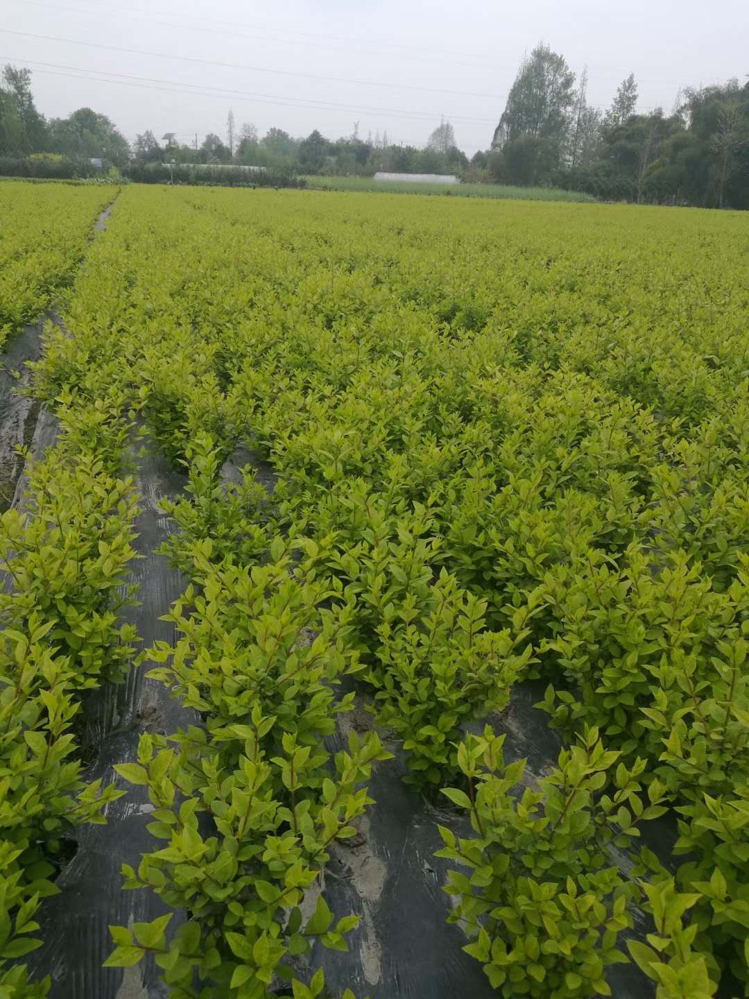 Ҏ~Ůؑ\ӻء~ŮֱؑN