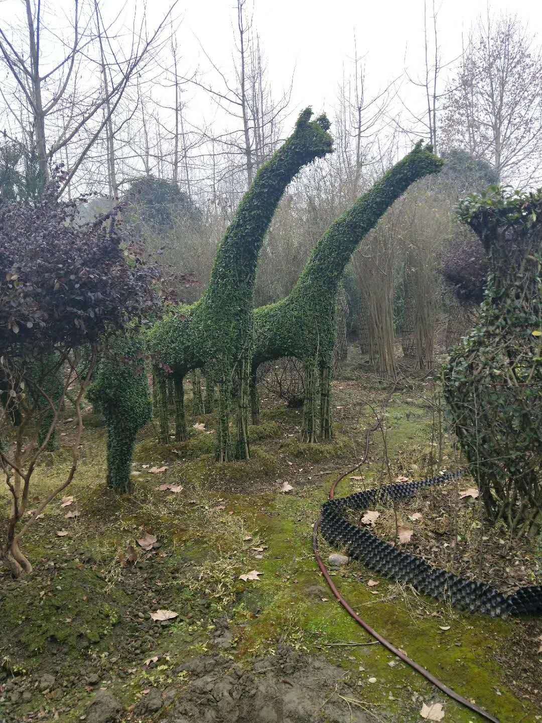 Ůؑ͡ɶŮؑ͘䡢С~Ůؑ