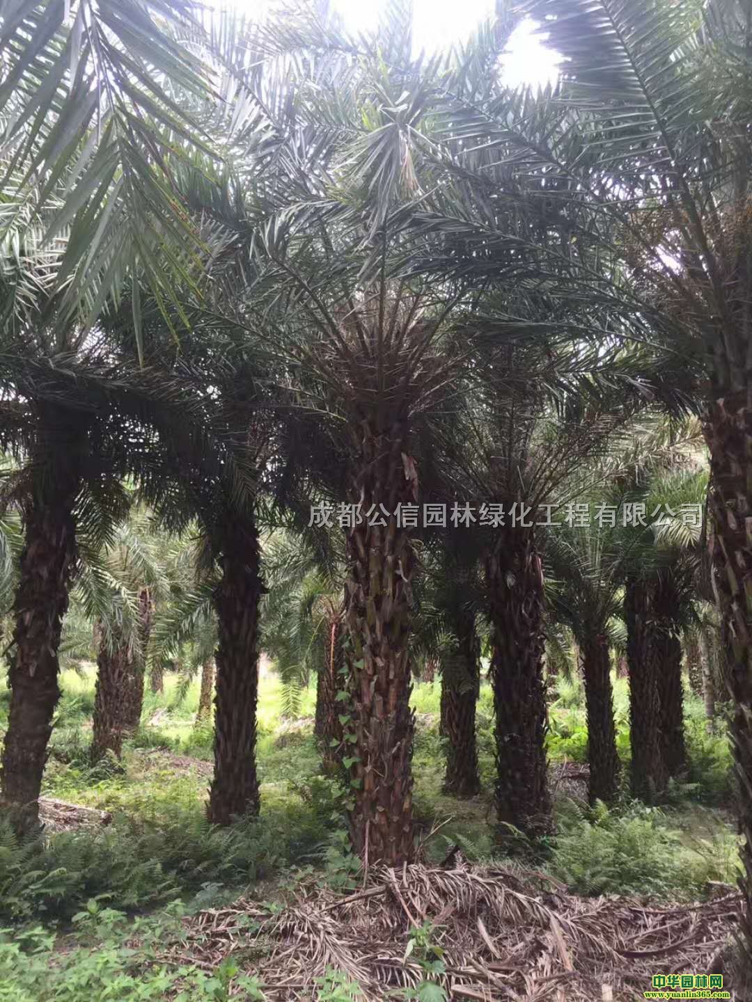 Ж|ظNҎlԼ؛Դoн