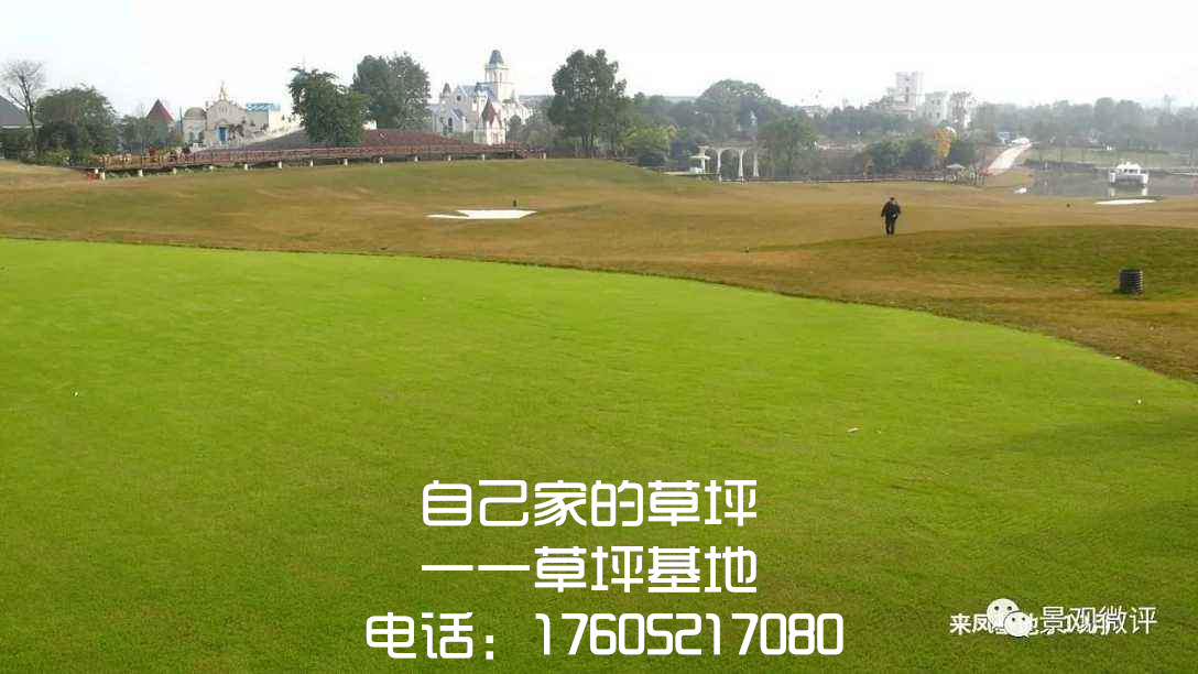 ԼҷNֲĽƺݲƺءll؛