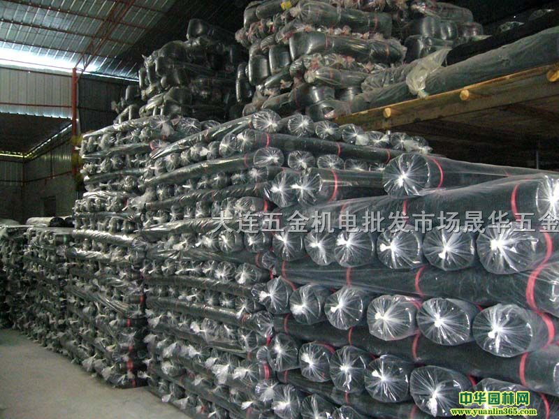 BAzW(wng)(yng)W(wng)wW(wng)