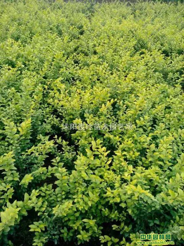 ~Ůؑ˽ǽPt~С~ŮؑС硢~Ůؑ