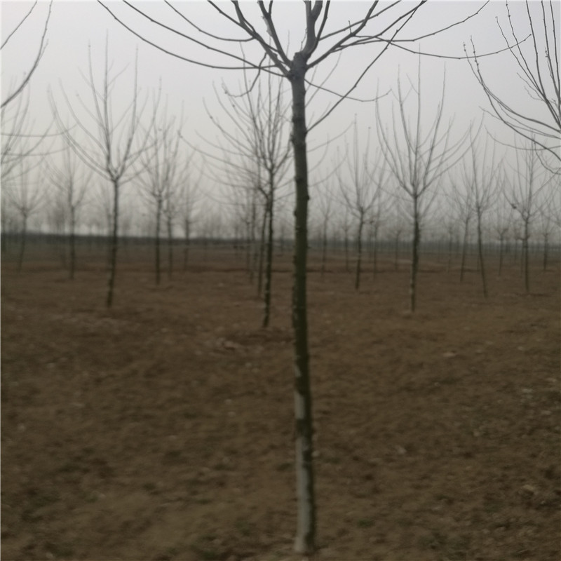 lе䷨ͩ䡢ͩСͩС硢ľ