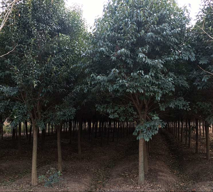 ľ܎ߗUŮؑءߗUŮؑr(ji)DƬľ