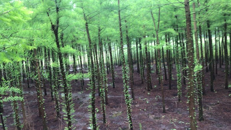 ˮɼˮɼ硢ˮɼСֱN1-20