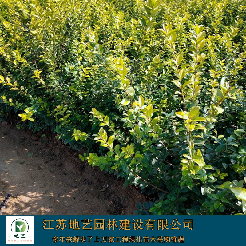 ~Ůؑ~Ůؑë򡢽~Ůؑ