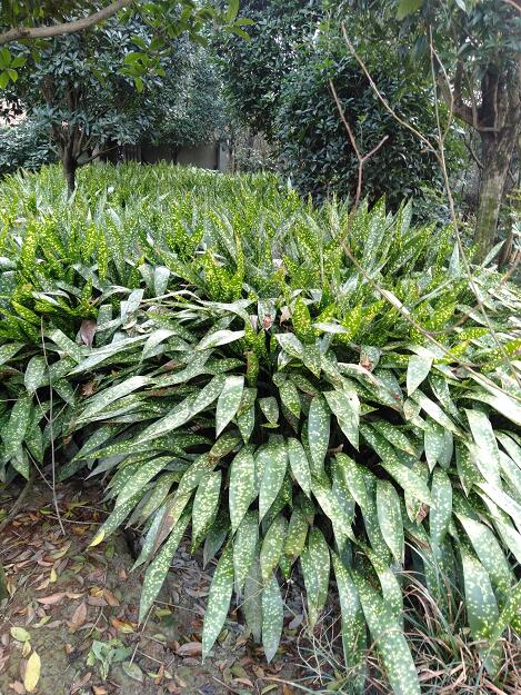 ~һ~m~һ~mNֲN(xio)ۡ~һ~m