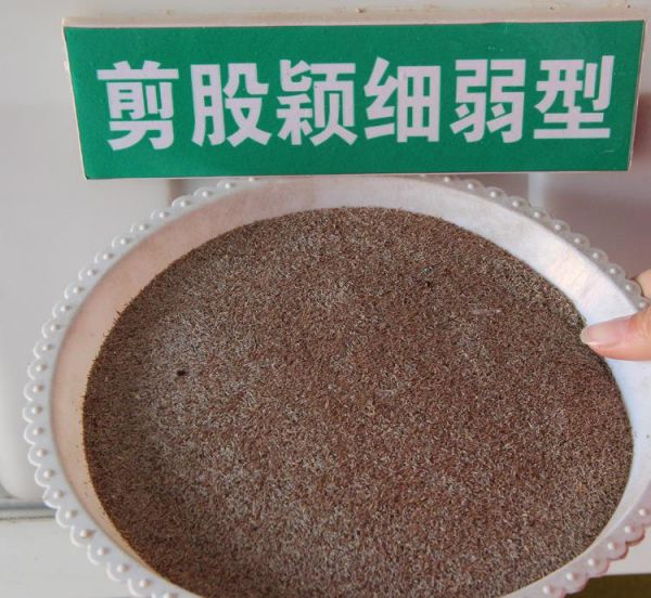 ꖼɷfNӻl(f)ɷfNӈDƬɷfNӃr