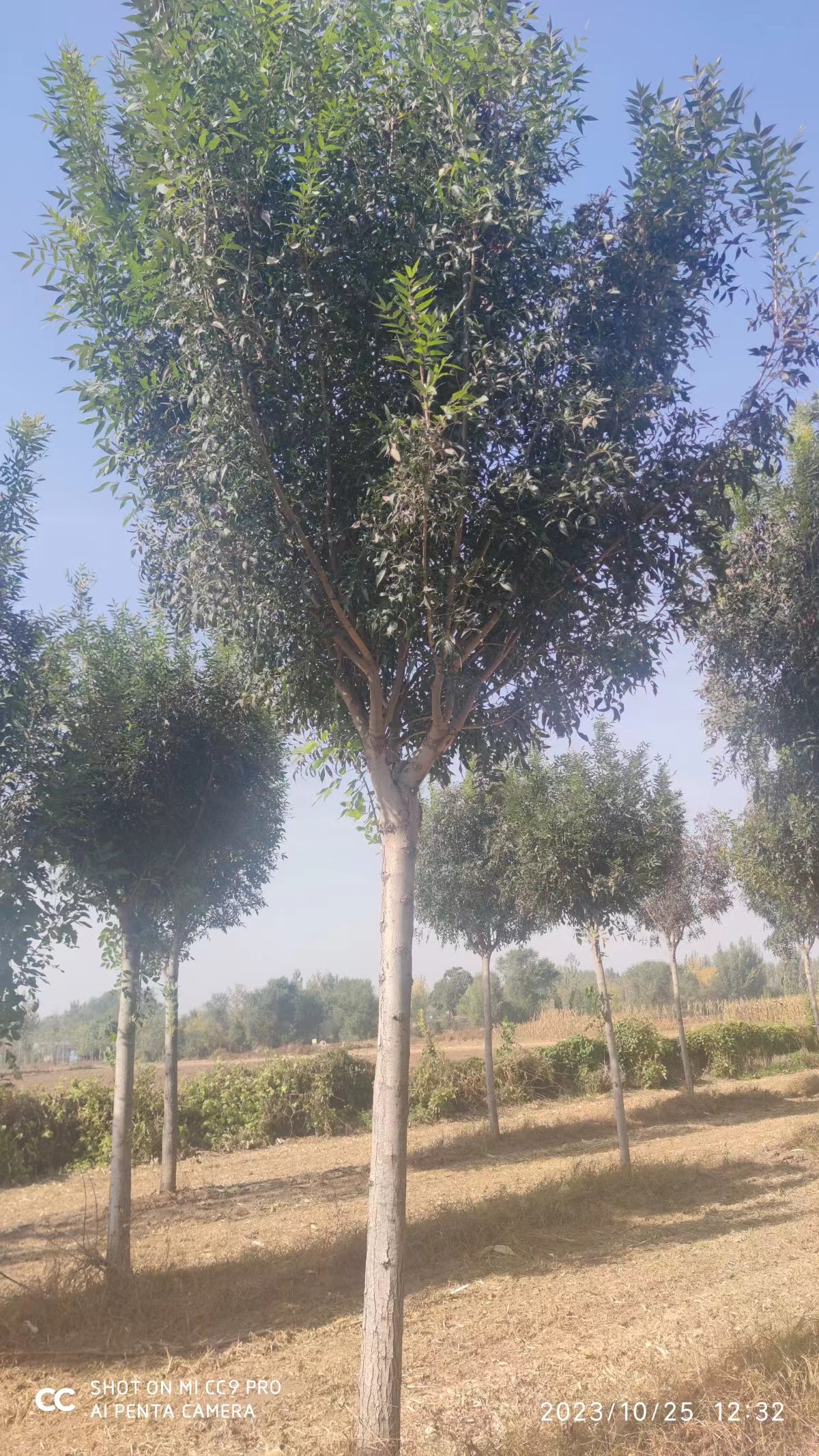 10-12ϰϞ2.4