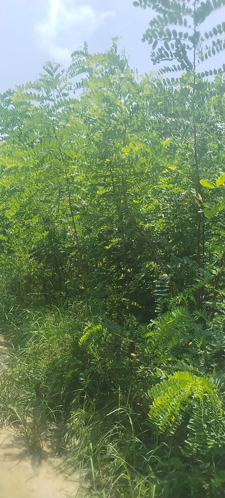 뻱̻ɽBN~ѡ鱘䡢鬡ͩ