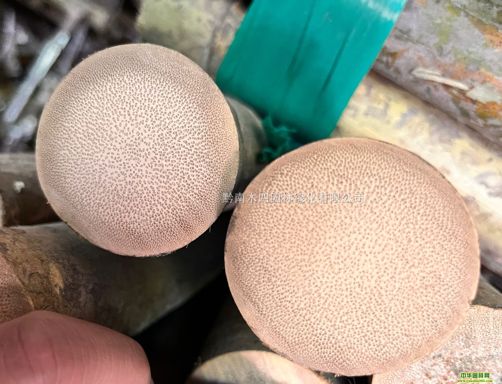 (sh)Ѫ񡢾錍(sh)Ѫz3-7