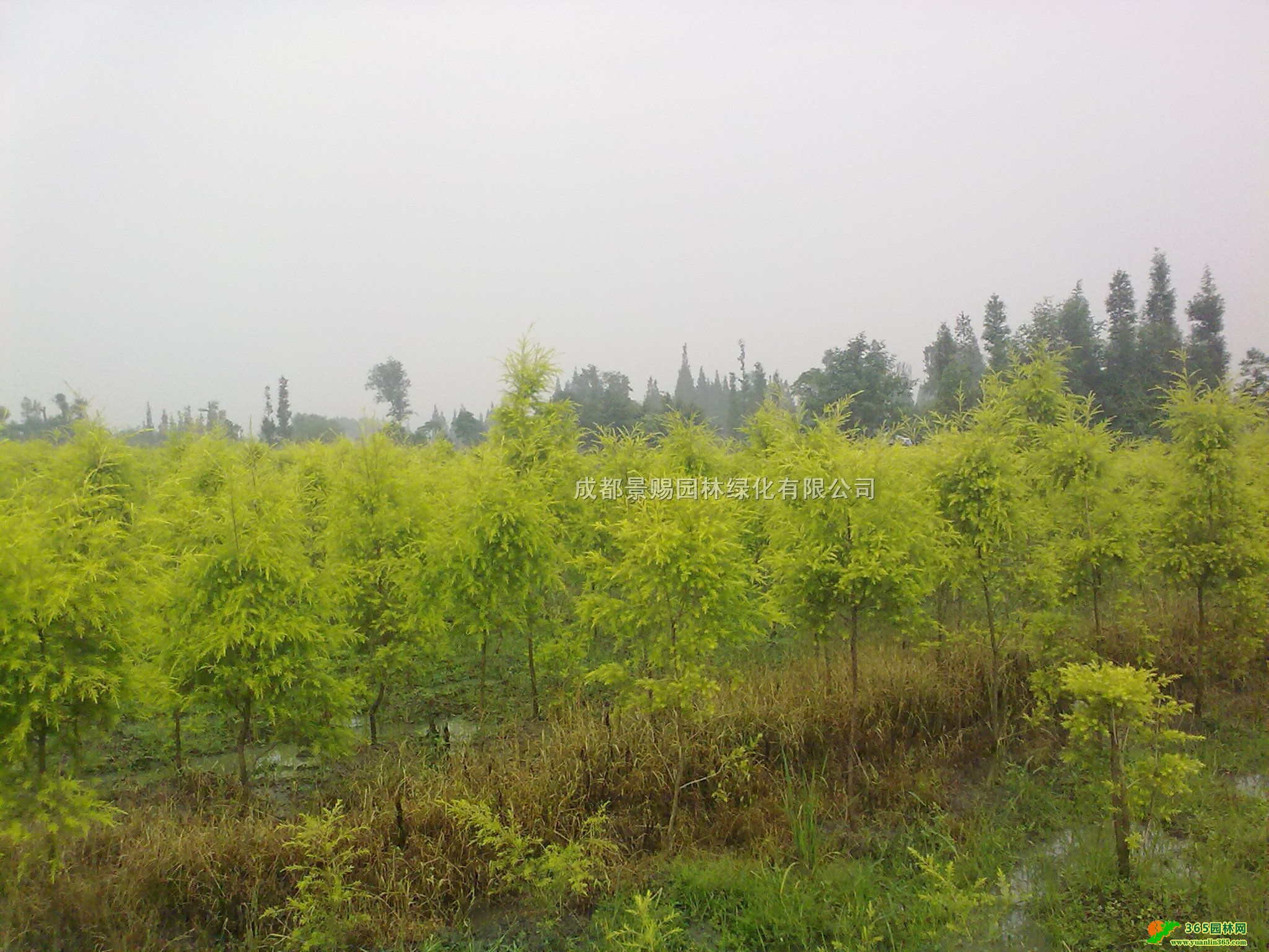 Ĵǧӽl(f)ءl(f)80-1׹ǧӽ1-1.5