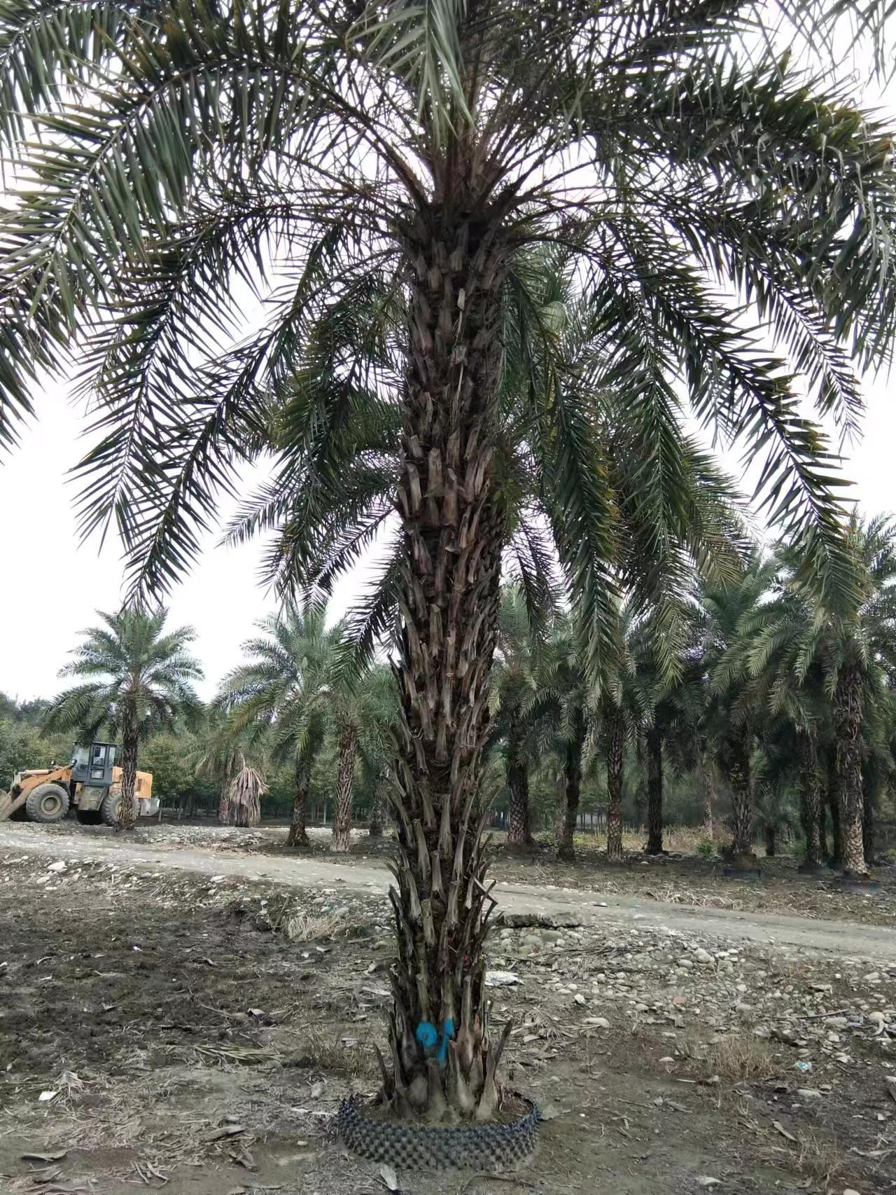 7׸Ж|硢Ж|Ʒ硢Ж|؃r