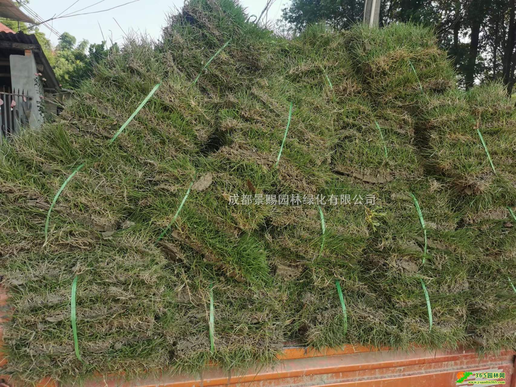 _̖ƺr_ݻlFݲƺĴؽƺ