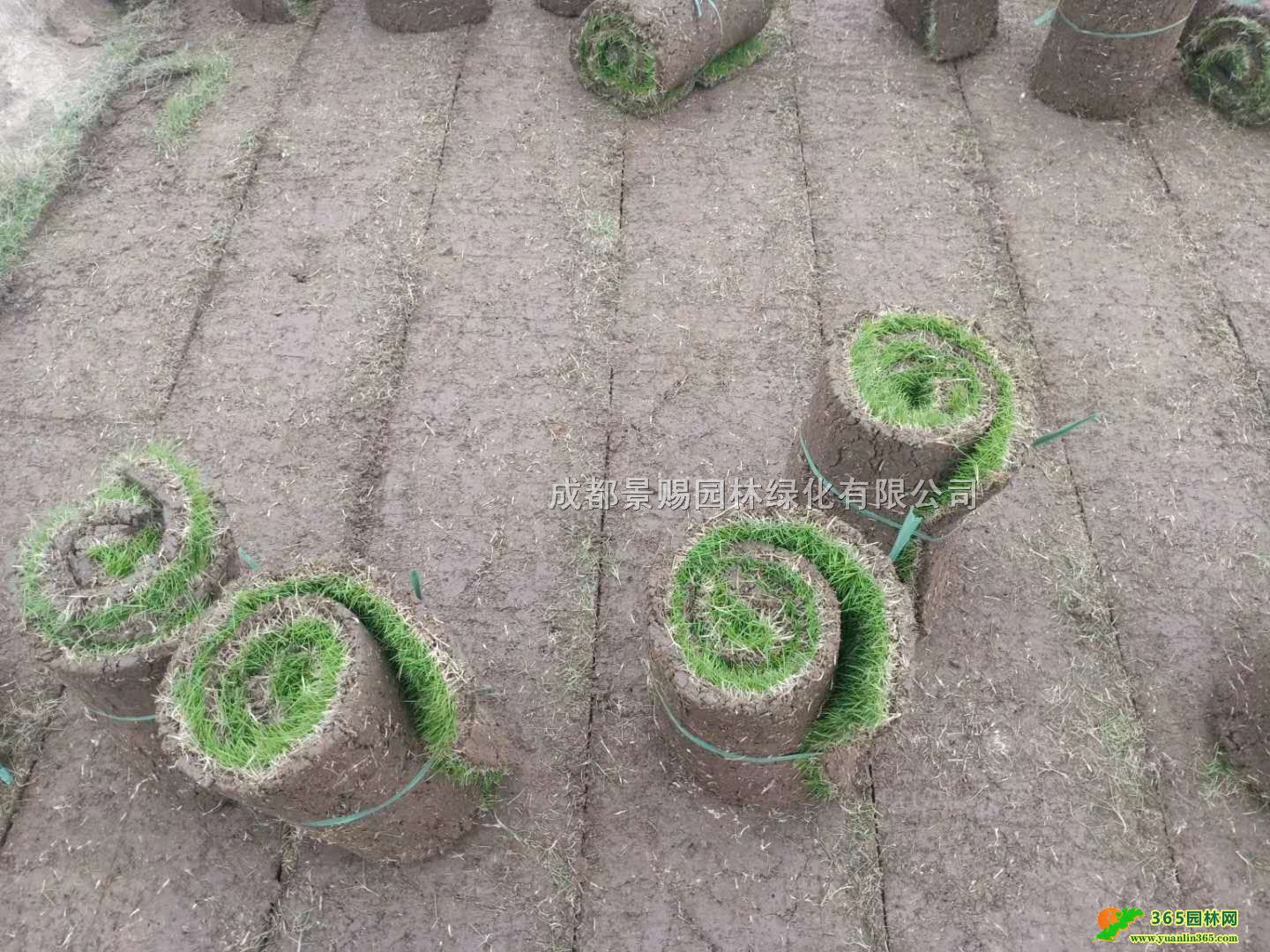 Ĵ_ݲƺء_ݷNֲءl_ݡ첥