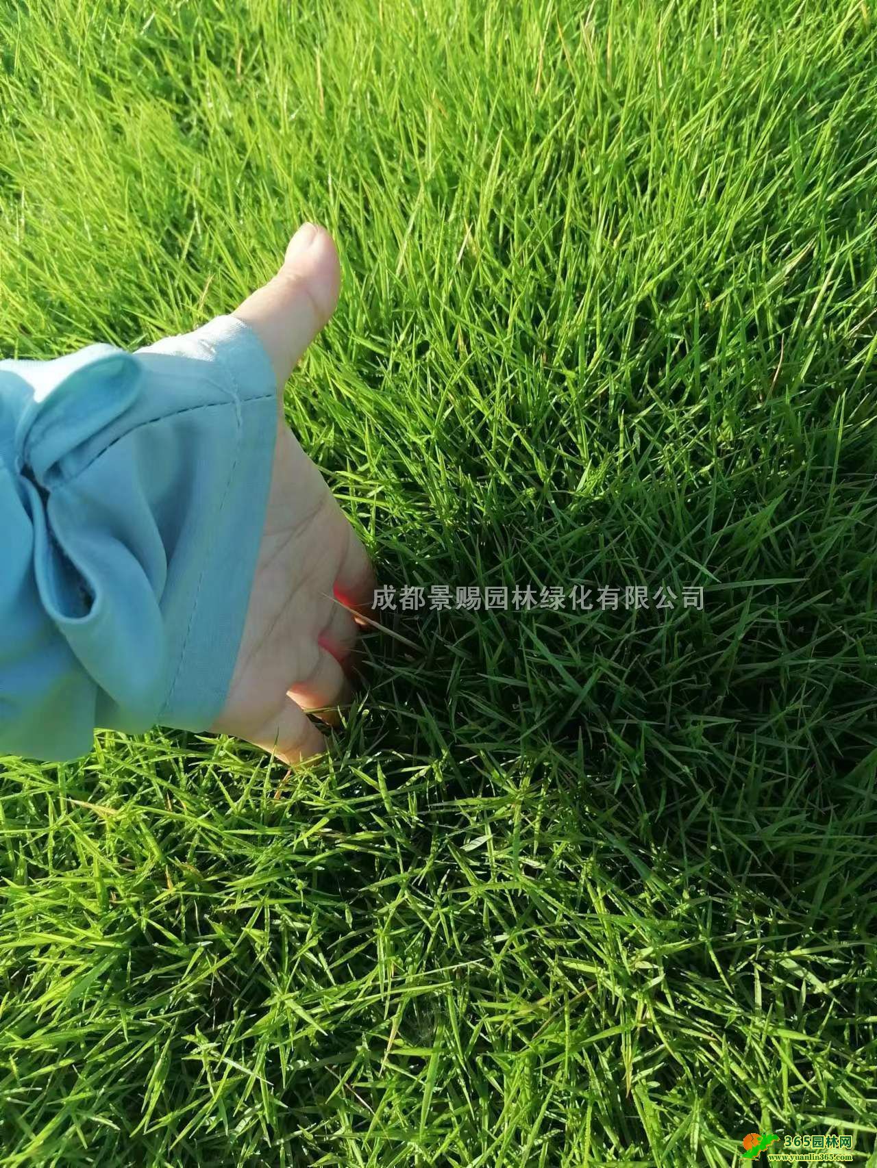 _̖ƺĴ_̖ƺءɶ_̖ƺl