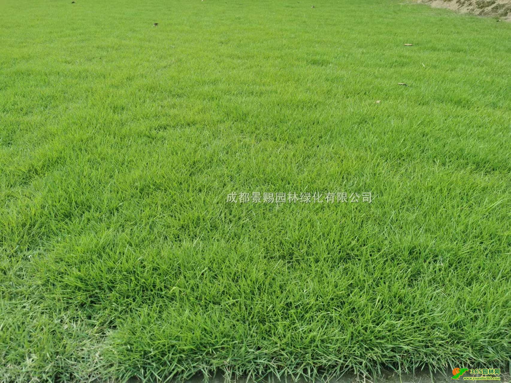 Ĵɶɶ_ƺءl첥ļƺ_