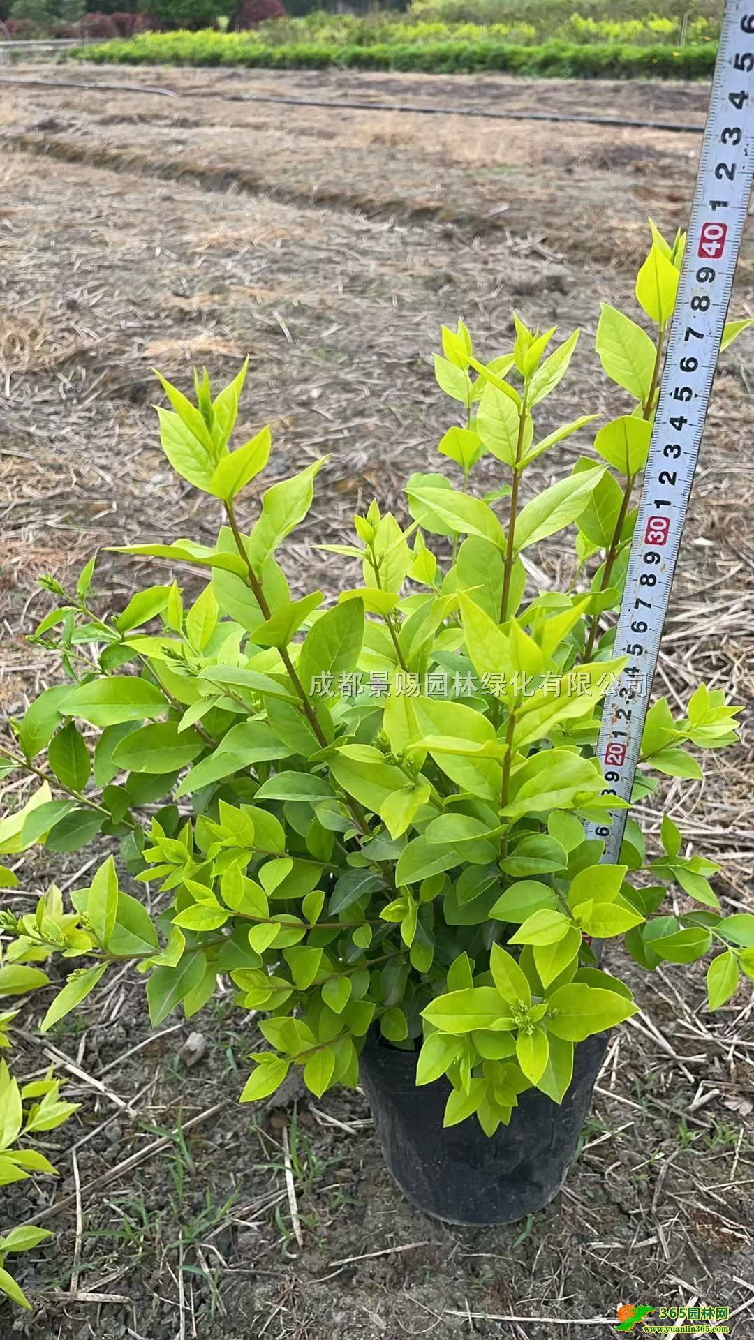 35ָ߽~ŮؑС硢16~Ůؑء~Ůؑl