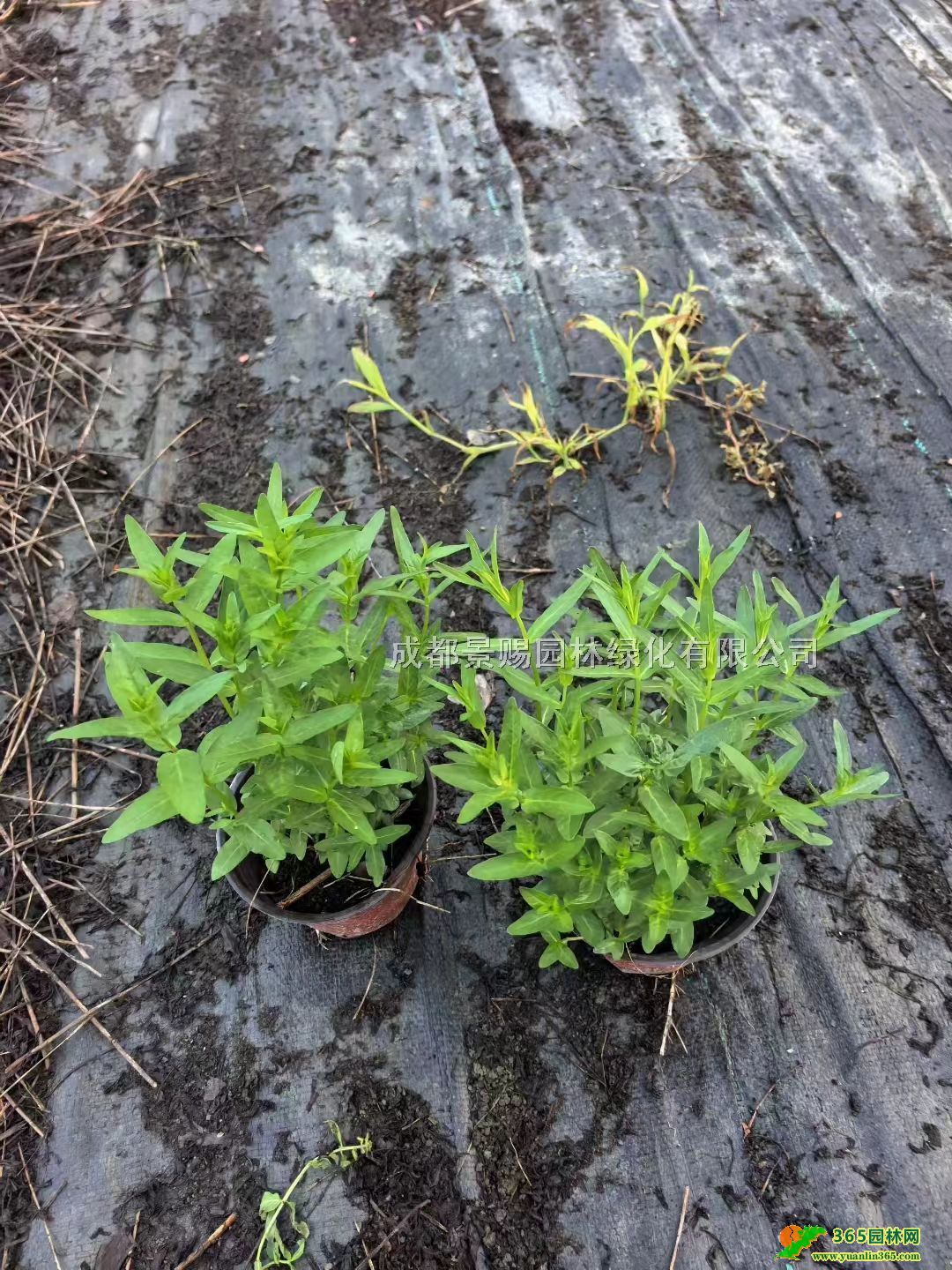 10-40ǧ˹硢10-20ǧ˻ءǧˮa