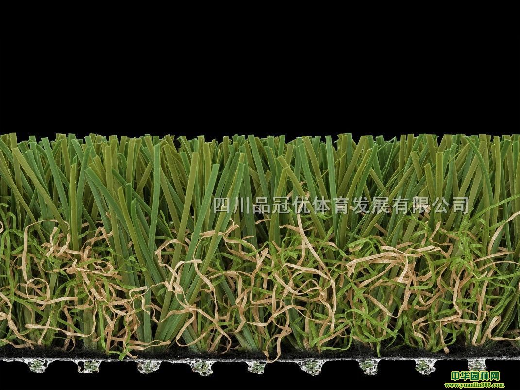 ɶ׃@ƺɶ׃@ƺʩɶ׃@ƺS