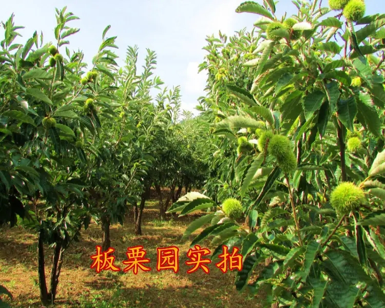 ɽ硢Ә硢Ҙ硢Ә硢