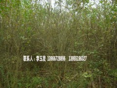 𻨡Ůؑޱt~~Ůؑ