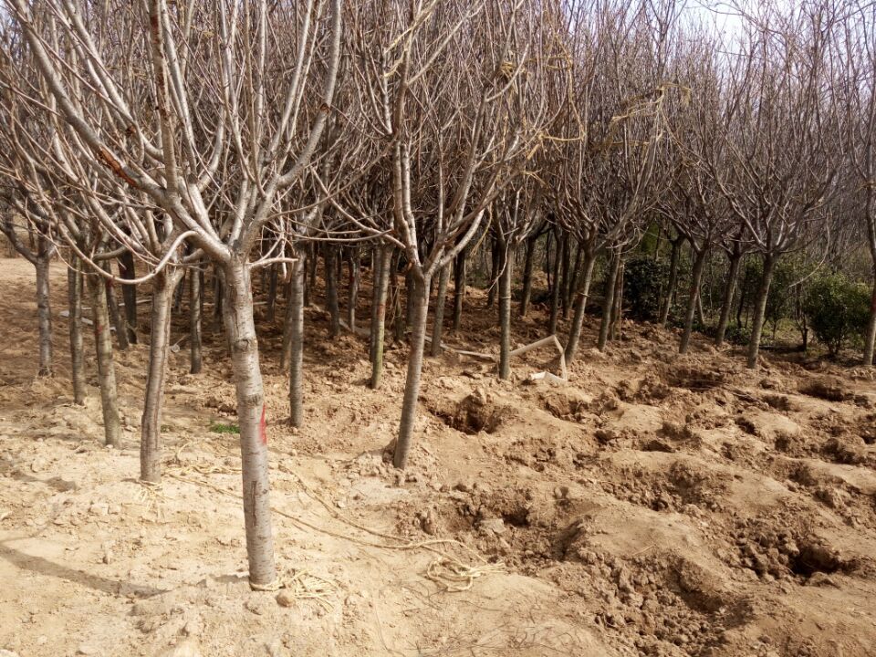 F(xin)؛(yu)|(zh).t~ʯ.tľΘ