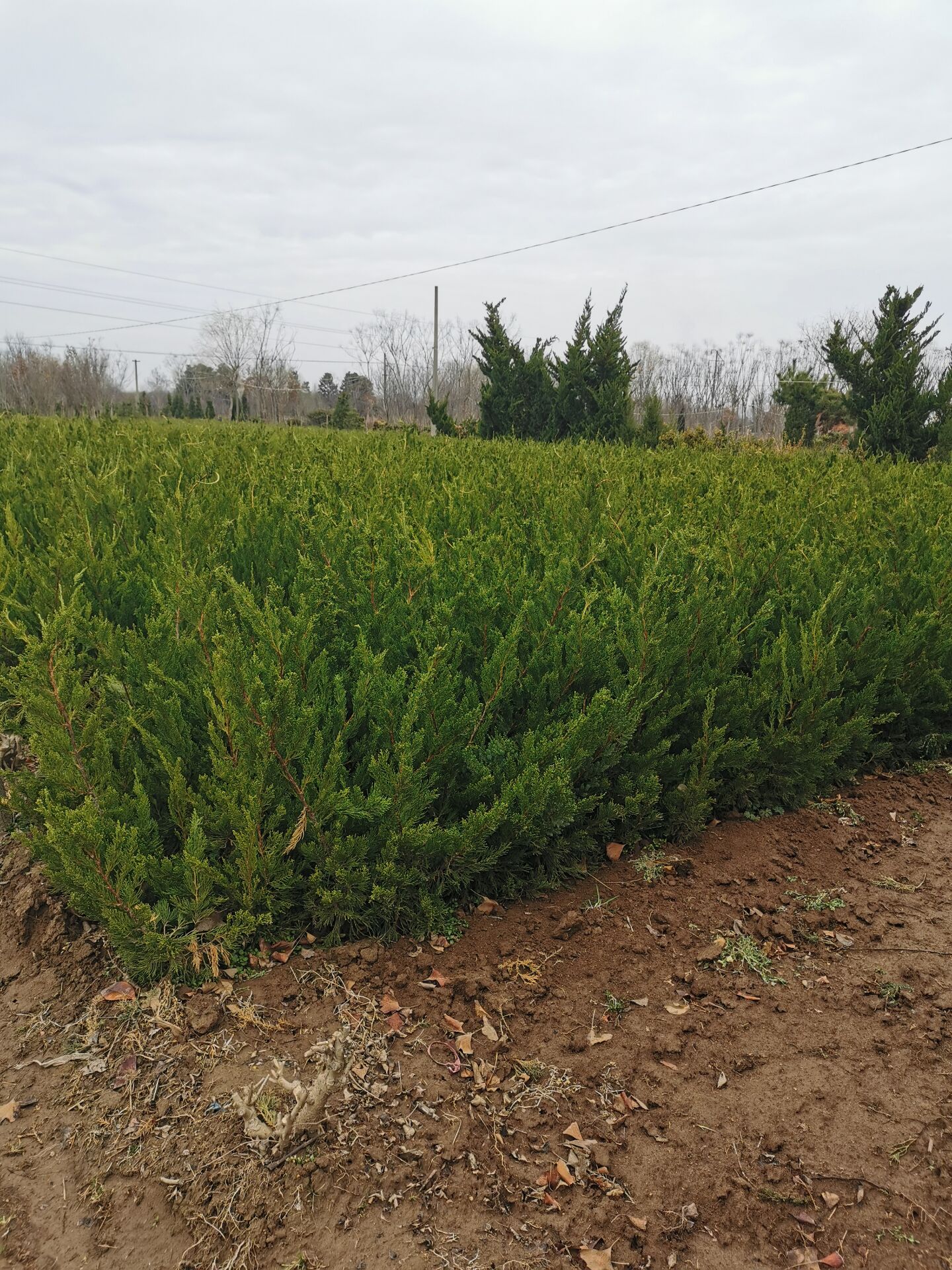 ؃rС؈DƬꖡ