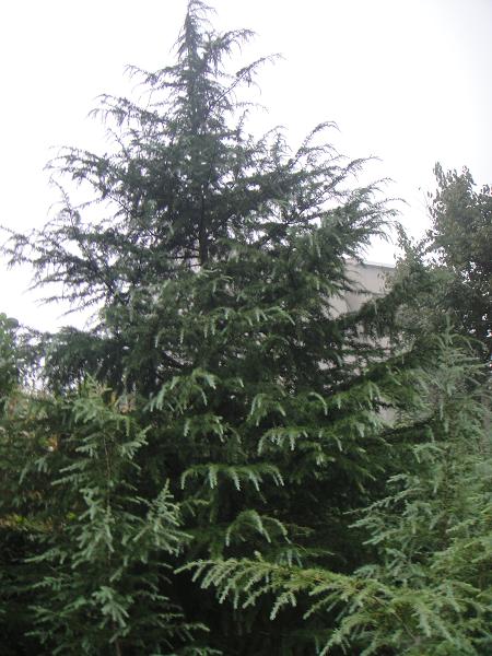 t~ʯ ѩɡVm ~Ůؑ  Θ