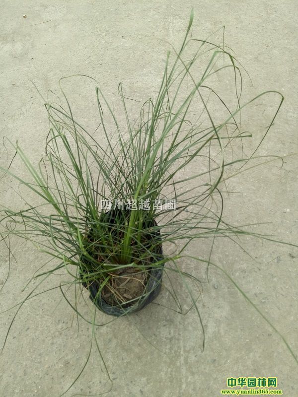 ˮ˽˯ɏɻ^ˮǧ~â