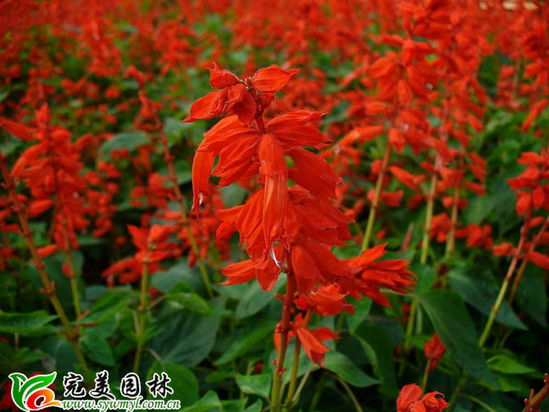 c ţ ~ ȸ f۾ ɫ һt