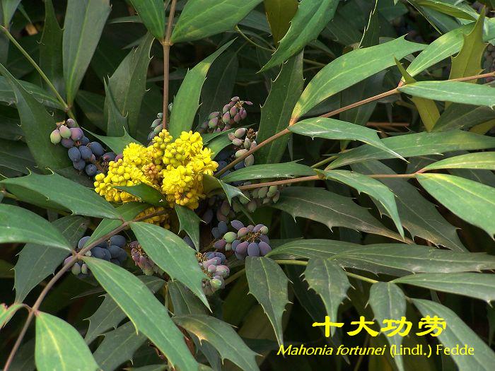 ~ʮ󹦄ڡС~ʮ󹦄ڡM~ʮ󹦄