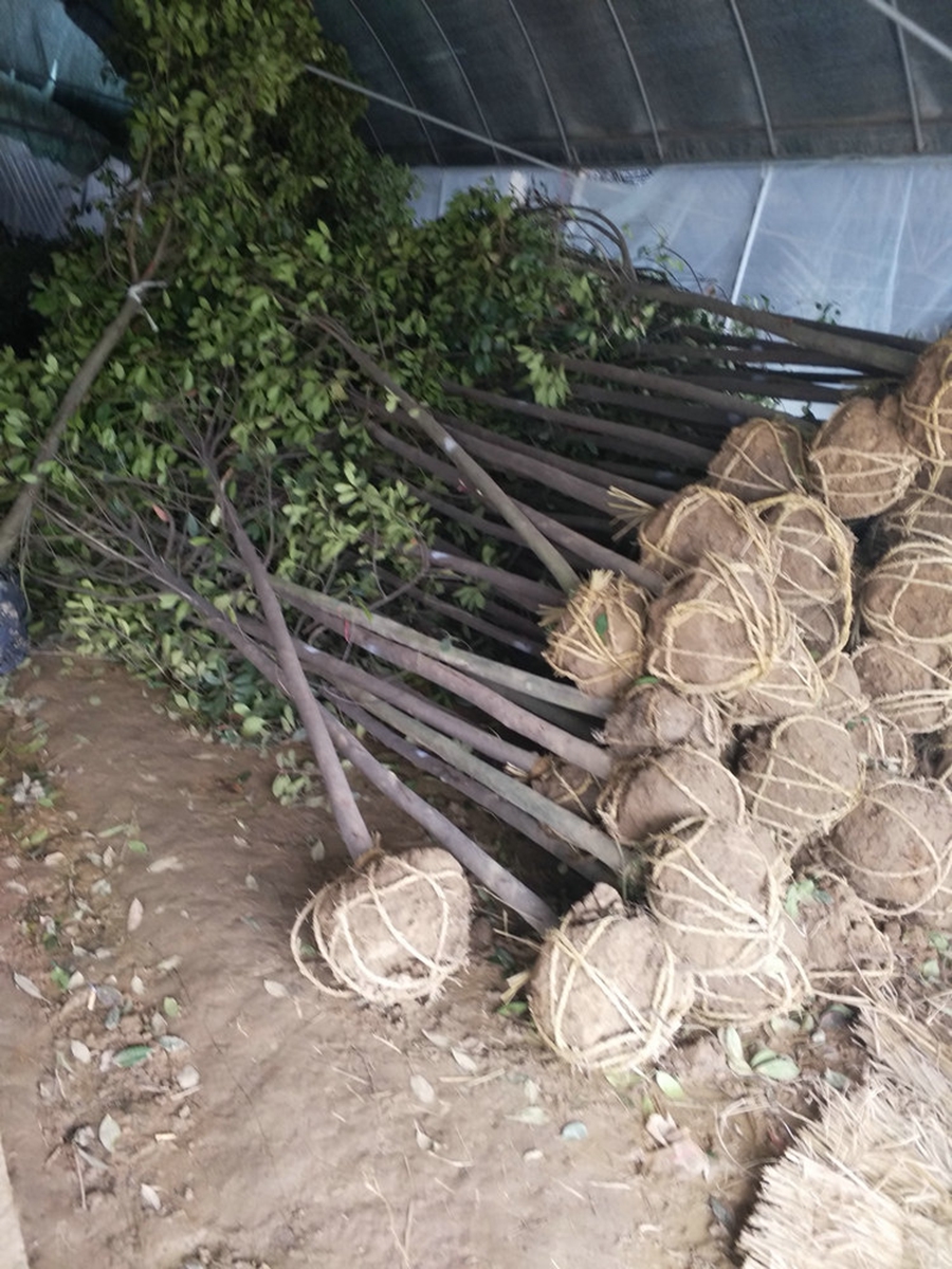 t~ʯ骘䡢ߗUt~ʯ骡t~ʯ骘