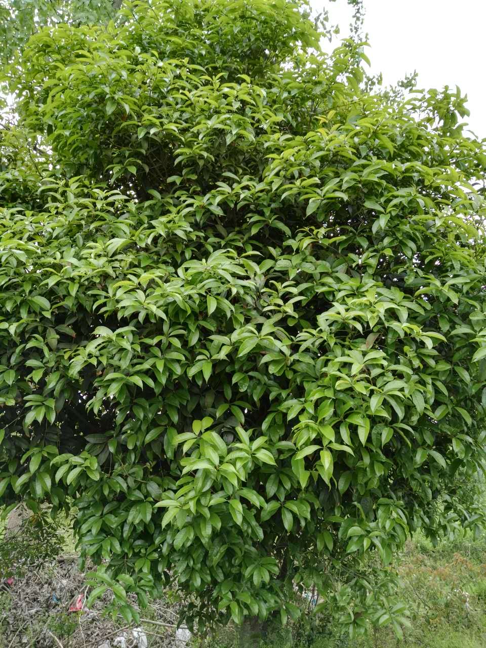 60-300߶150-400ļ(yng)