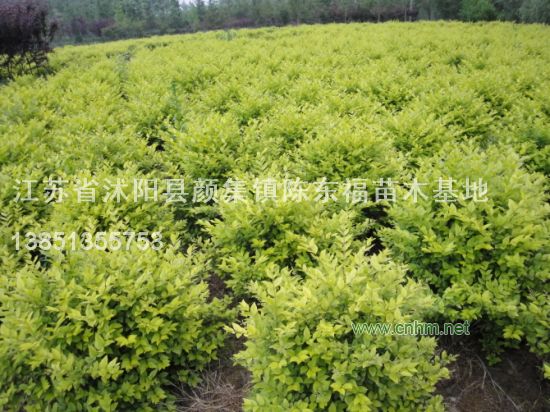 ~Ůؑ򡢼t~С򡢼t~ʯС~Ůؑ