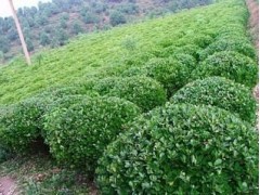 t~С򡢺ͩSС~Ůؑ򡢻򡢼t~ʯ