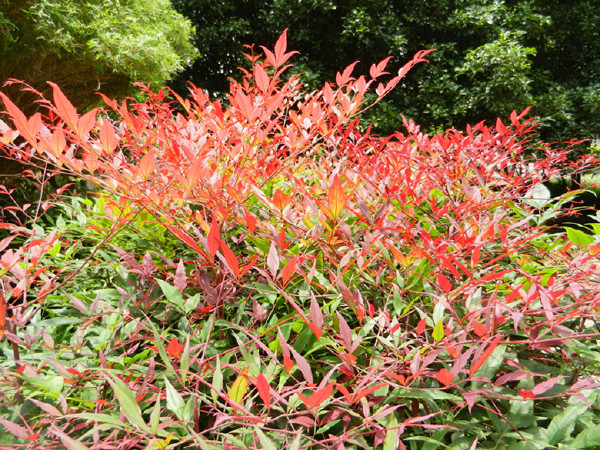 񡢷֡lؔ估ʽ䘶ɽˮ